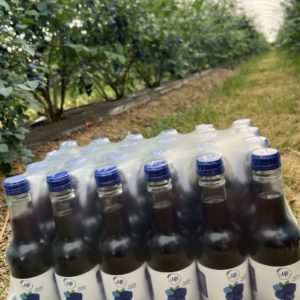 100% Blueberry Juice 250ml Case of 24 bottles