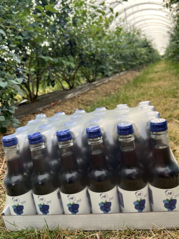 100% Blueberry Juice 250ml Case of 24 bottles