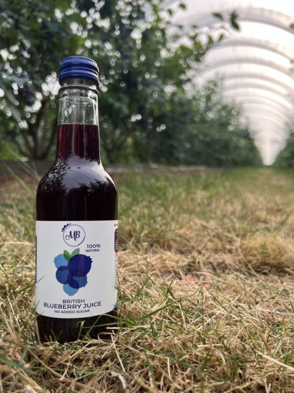 100% British Blueberry Juice 250ml